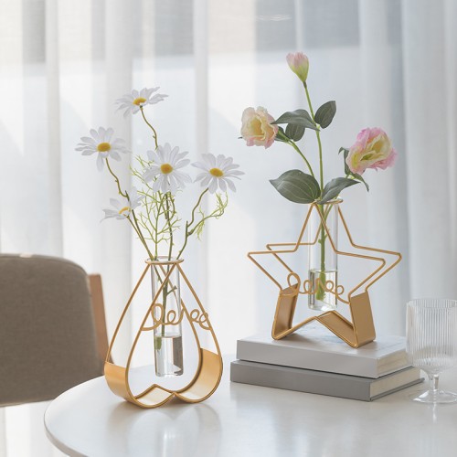 Creative tabletop decoration hydroponic glass test tube vase customization